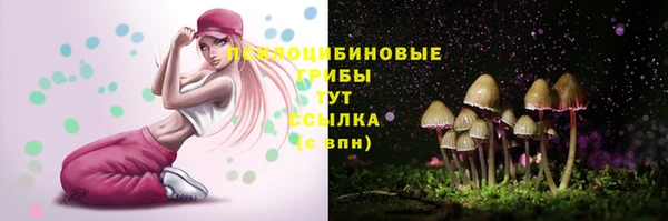 твердый Алексеевка