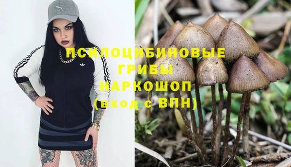 гашик Алзамай