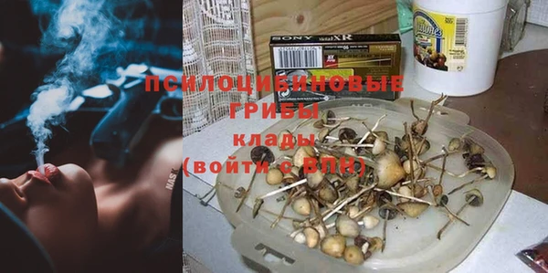 молекула духа Алексин