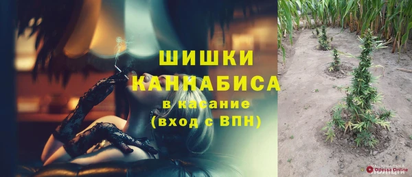 гашик Алзамай