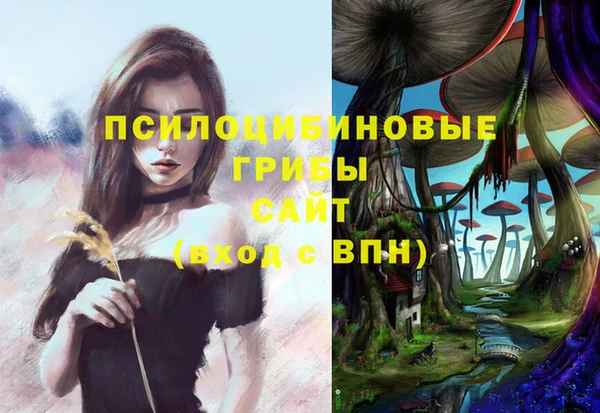 твердый Алексеевка